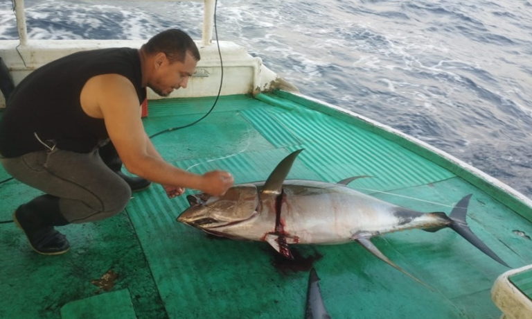 INPESCA realiza monitoreo biológico pesquero en playas del Pacífico