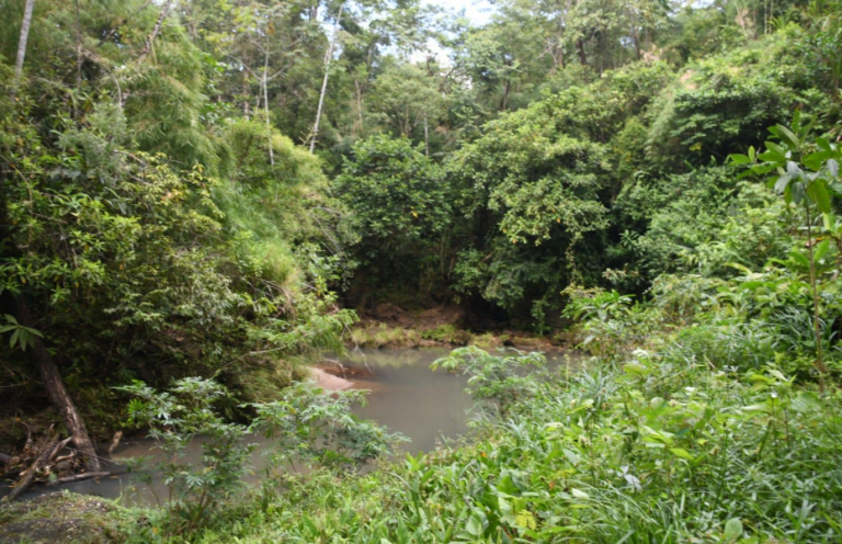 Gobierno Sandinista destaca reserva privada en la Costa Caribe Norte como modelo de conservación