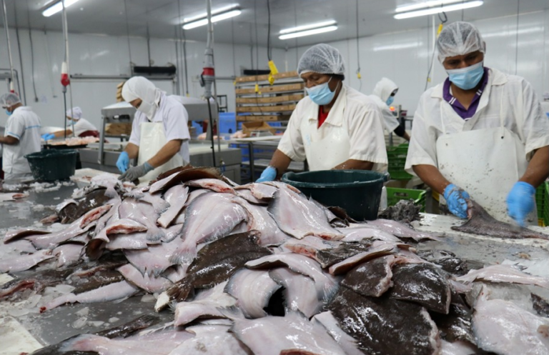 Nicaragua fortalece la pesca con estrictas inspecciones