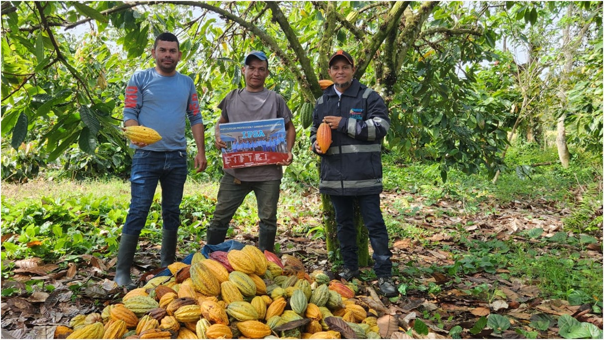 IPSA impulsa el cacao nicaragüense con tecnología innovadora