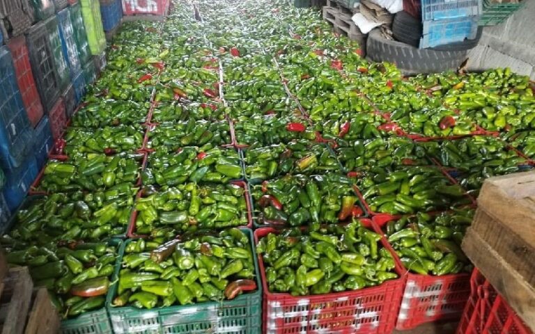 Chiltoma: Oportunidad de desarrollo económico en Nicaragua
