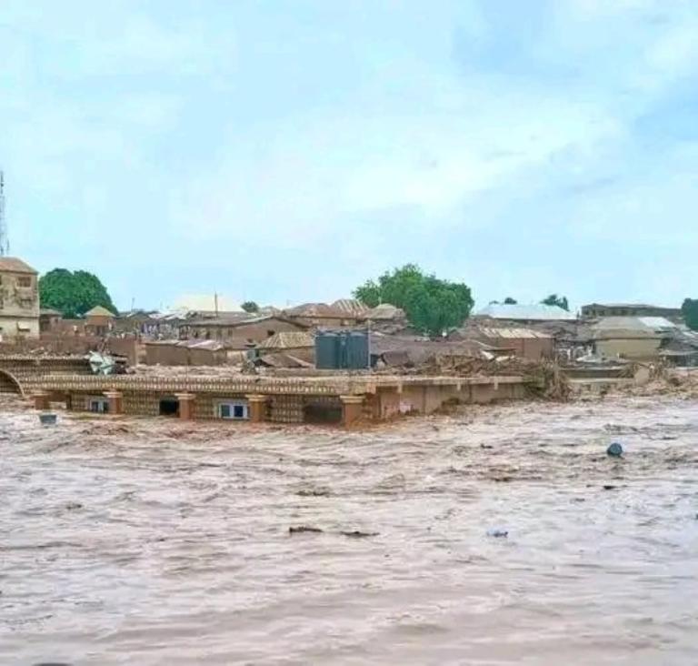 Rio se traga varias casas matando a 110 personas durante una noche de terror en Nigeria