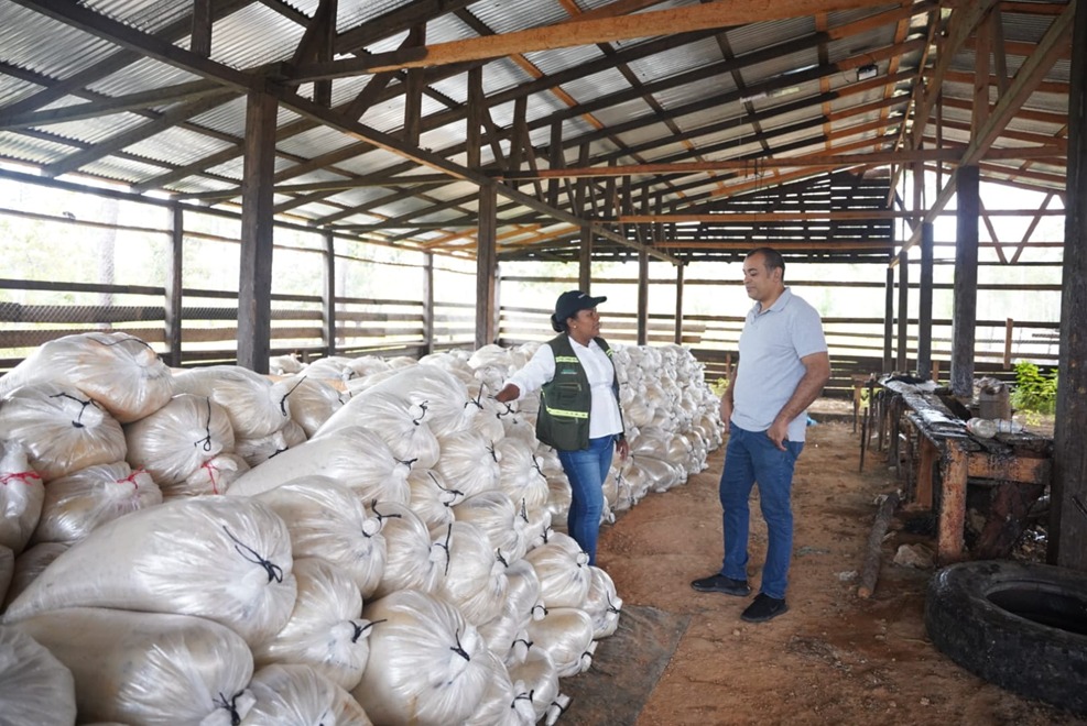 Export S.A.: Impulso a la economía y medio ambiente