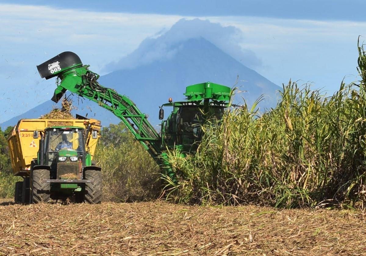 Producción de azúcar y exportaciones en la zafra 2024-2025