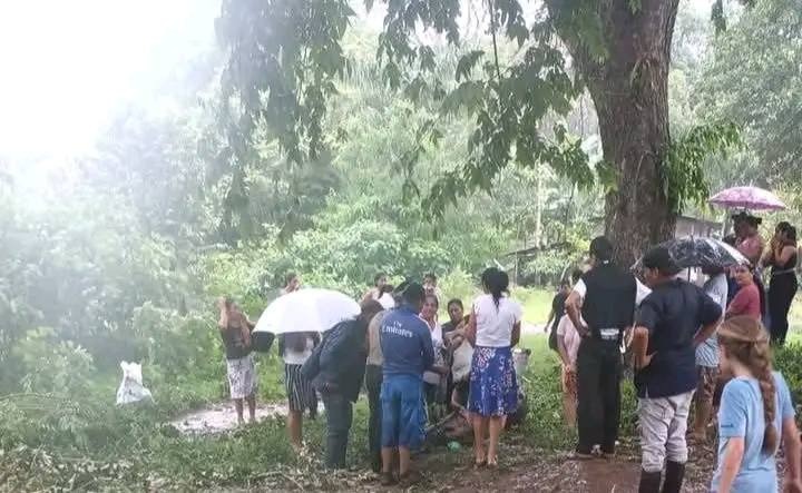 Tragedia en La Dalia: niño pierde la vida por un árbol