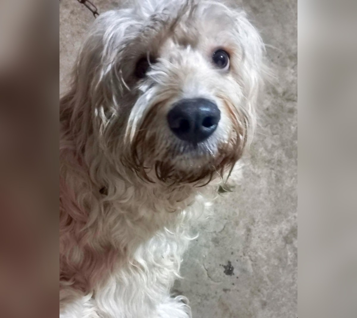 ¡Ayuda a encontrar a Esteban! Recompensa de 18 mil córdobas