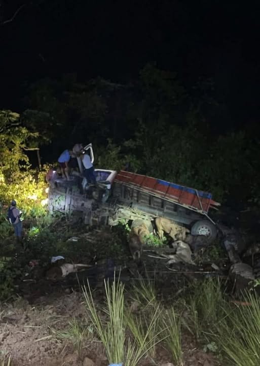 Tragedia en Matagalpa: vacas mueren tras caída de camión