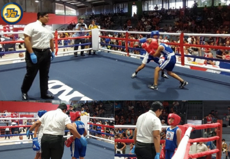 Campeonato de boxeo
