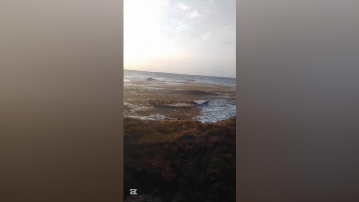 Tragedia en el mar: Naufragio de migrantes en República Dominicana