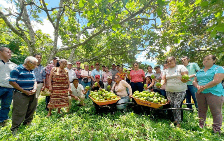 INTA impulsa producción de aguacate y frutales en encuentro regional