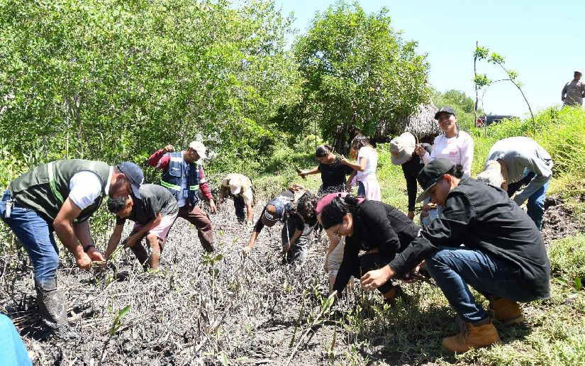 Reforestación en El Viejo: Manglares que Salvan Vidas