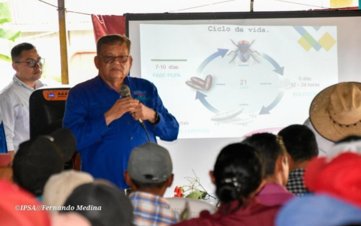 IPSA refuerza la sanidad animal en Nicaragua