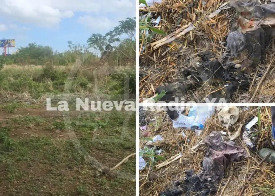 Restos óseos sin identificar en Las Galerías Santo Domingo