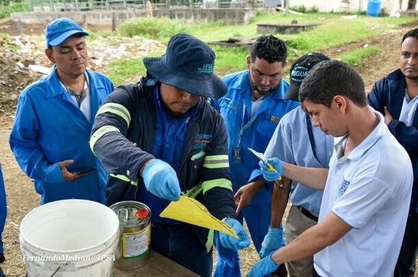 Prevención del Gusano Barrenador: Jornada Sanitaria IPSA