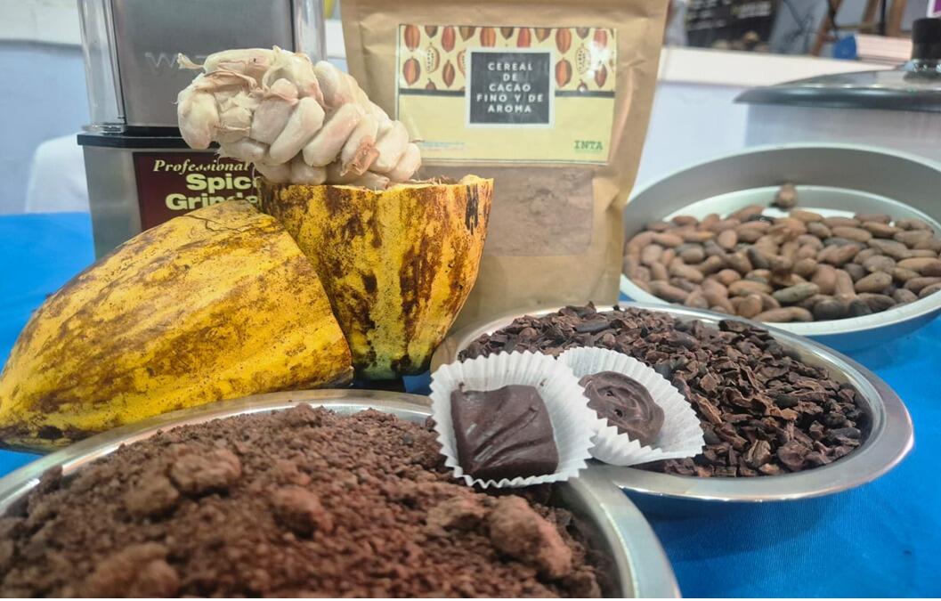 Revitaliza el cacao: Programa 'Nicaragua es Cacao'