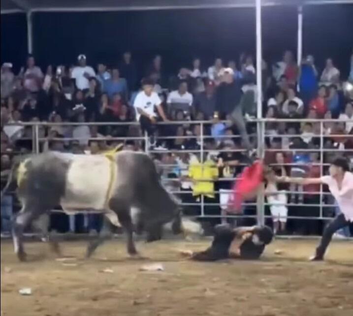 Joven cornado por toro en Granada: Una historia impactante