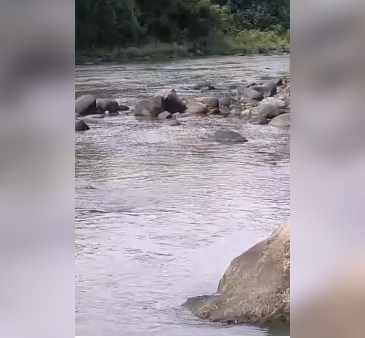 Leonés desaparecido desde el jueves es encontrado muerto en el Río Sinepaca