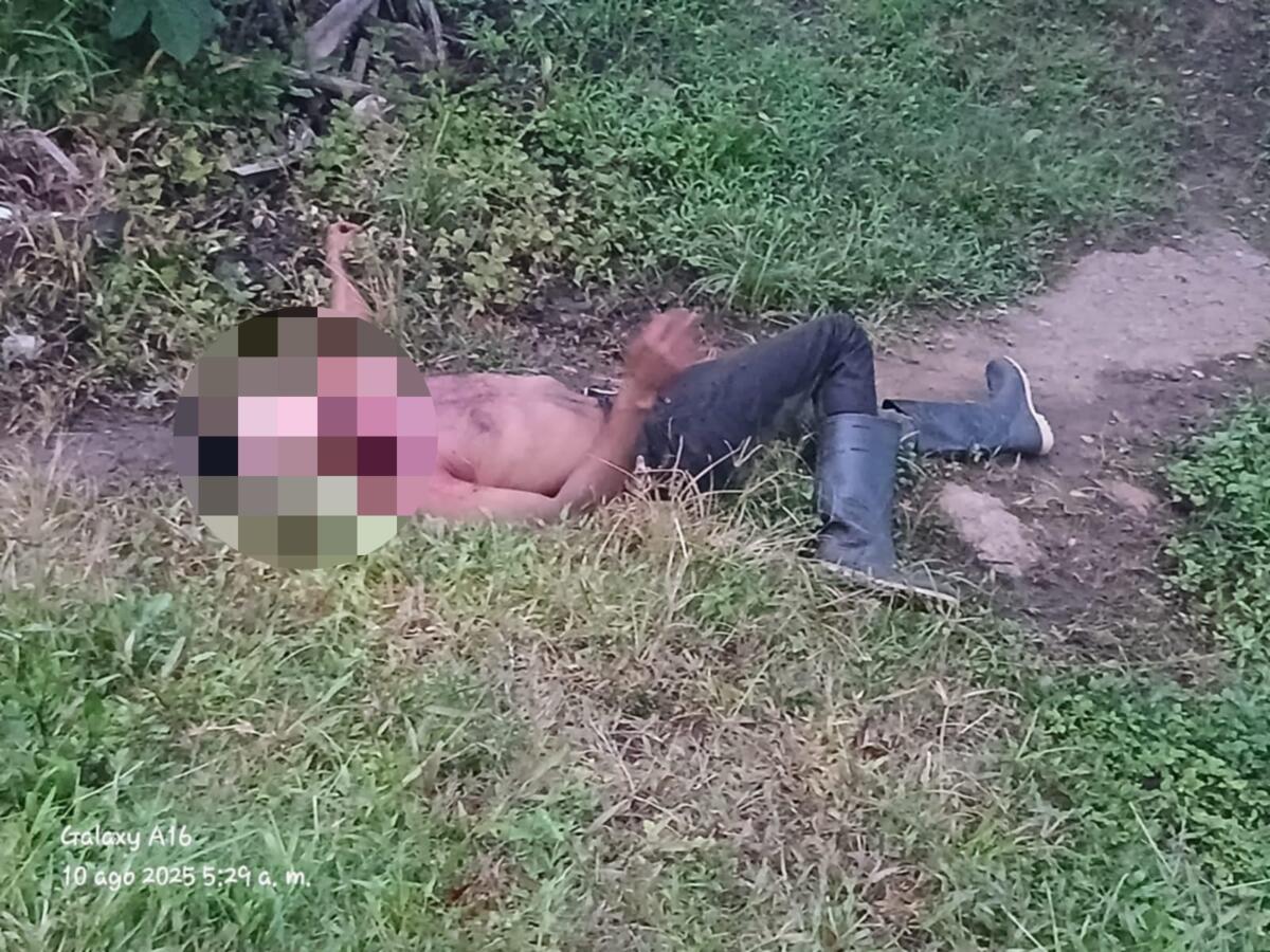 Francisco Amador: lucha por su vida tras apuñalamiento