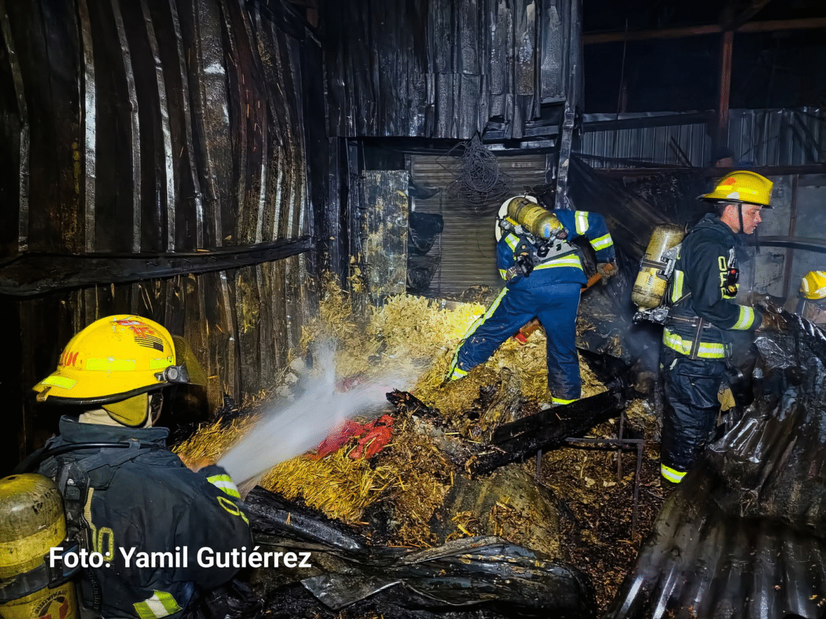 Incendio arrasa negocios en el Mercado Oriental