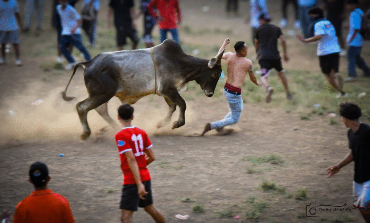 Fiestas en Managua: Toros, baile y mucha diversión