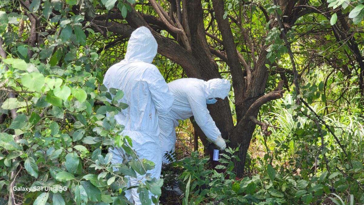 Hallan cuerpo de hombre en Managua: suicidio confirmado