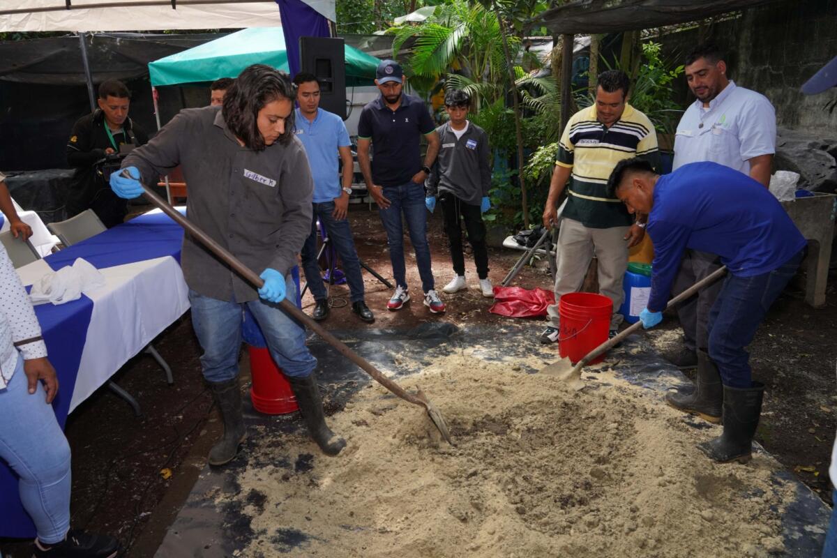 Biofertilizantes y cultivos sostenibles: la apuesta de Walmart para transformar la agricultura en Nicaragua
