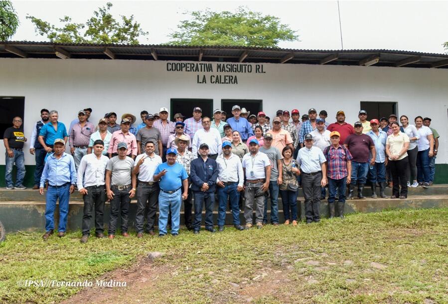 IPSA capacita a 100 productores contra el Gusano Barrenador