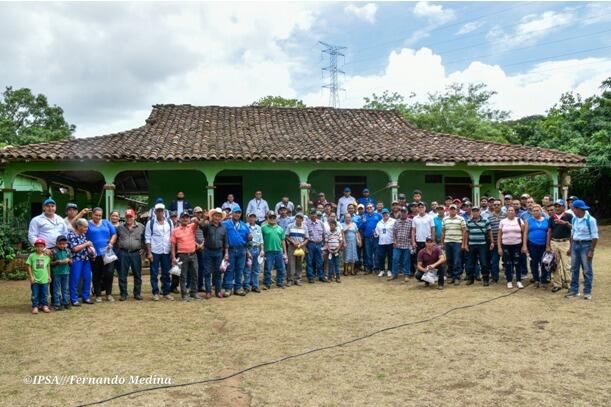Acciones sanitarias para proteger el ganado en Chacalapa