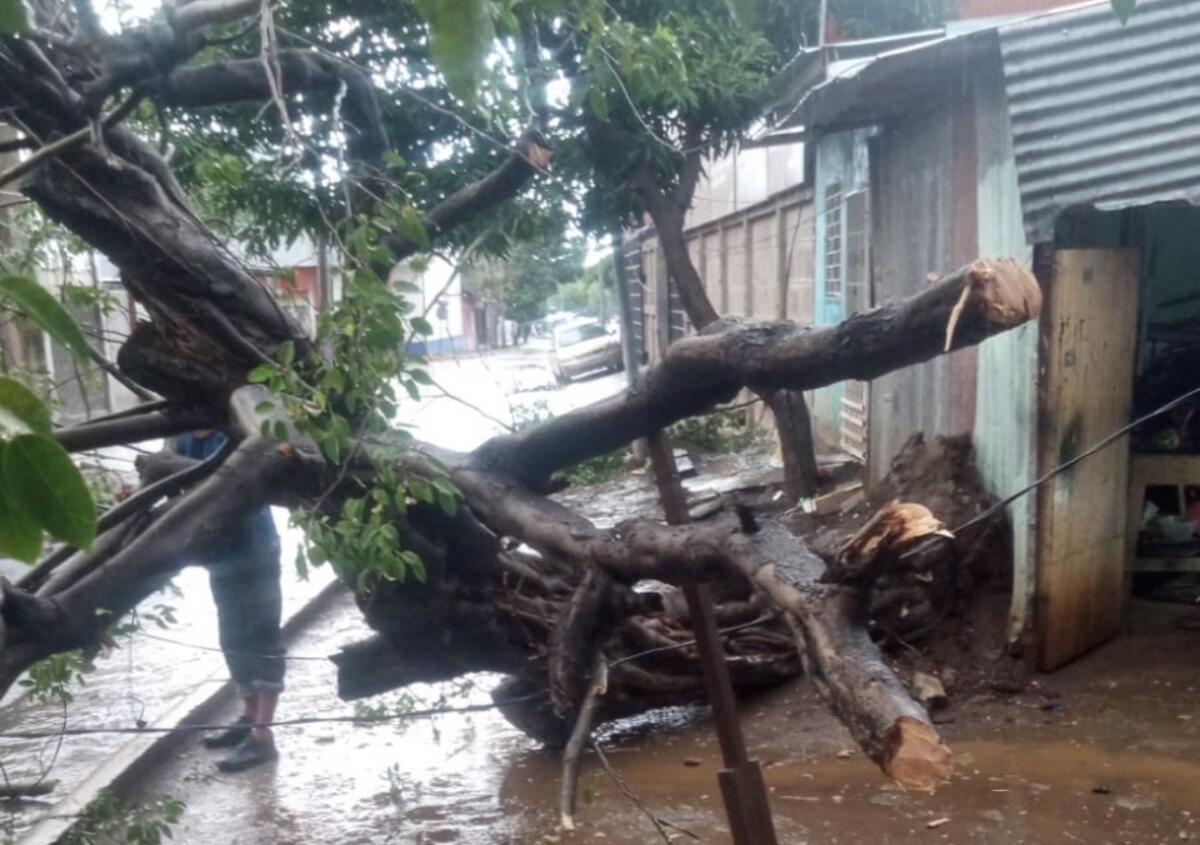 Aguacero y vientos fuertes causan estragos en Managua