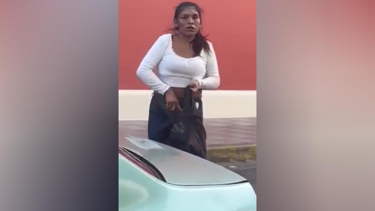Esta mujer acompañaba al delincuente en Granada