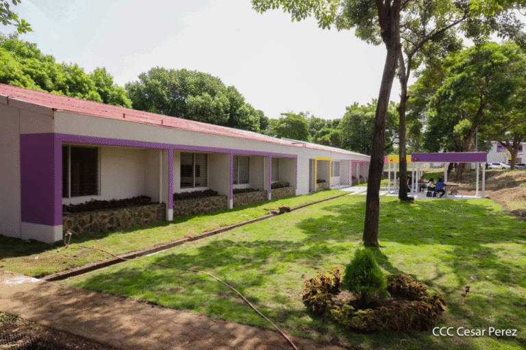 Universidad de Emprendedores La Sandino: Formación 2026