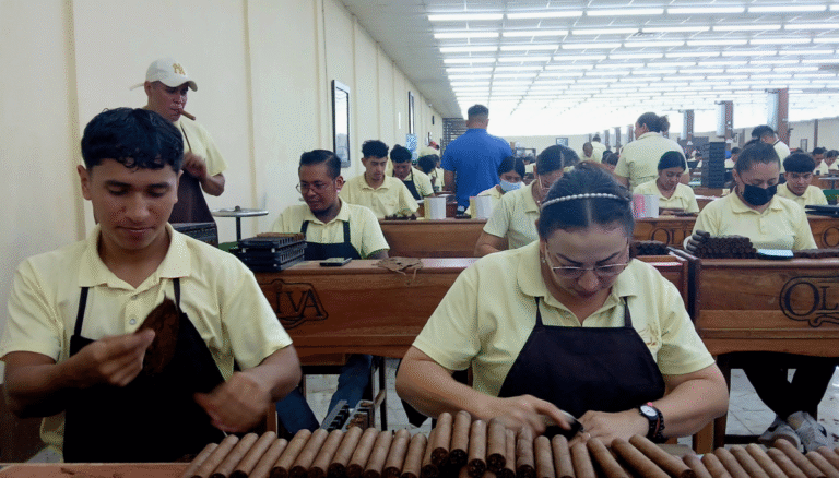 ¡Festival del Tabaco en Estelí! Disfruta el 6 de septiembre