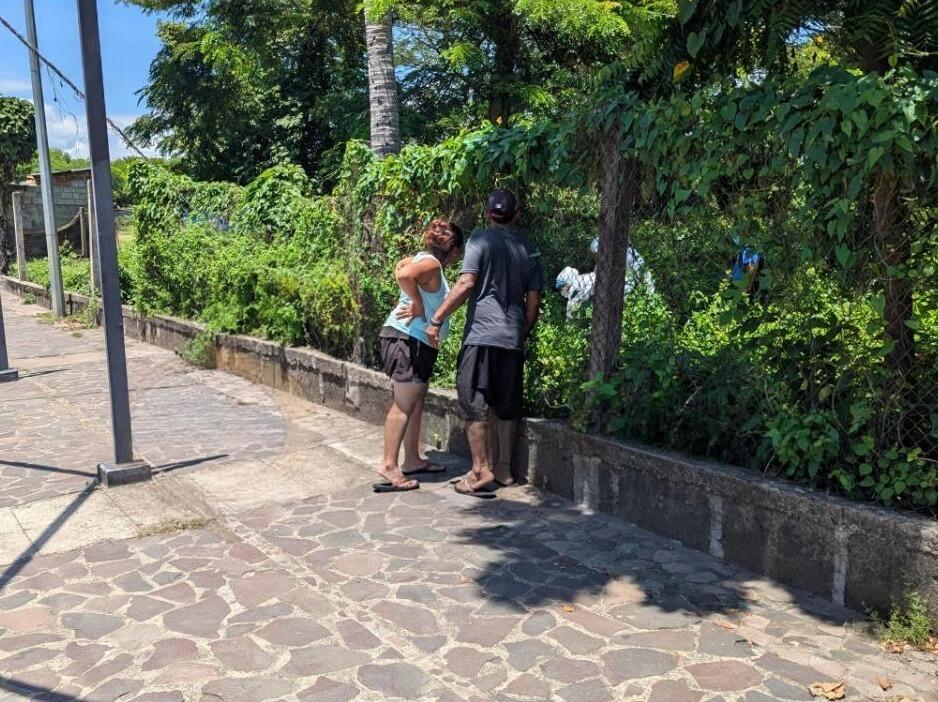 Misterio del cocotero maldito en Granada: dos muertes