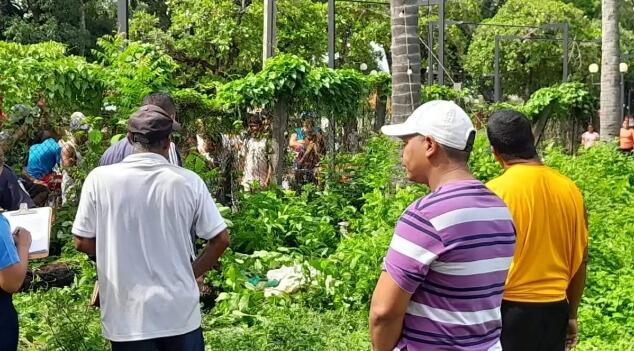 José Rogelio Conde Rugama falleció en el mismo árbol de cocos pero en el 2023