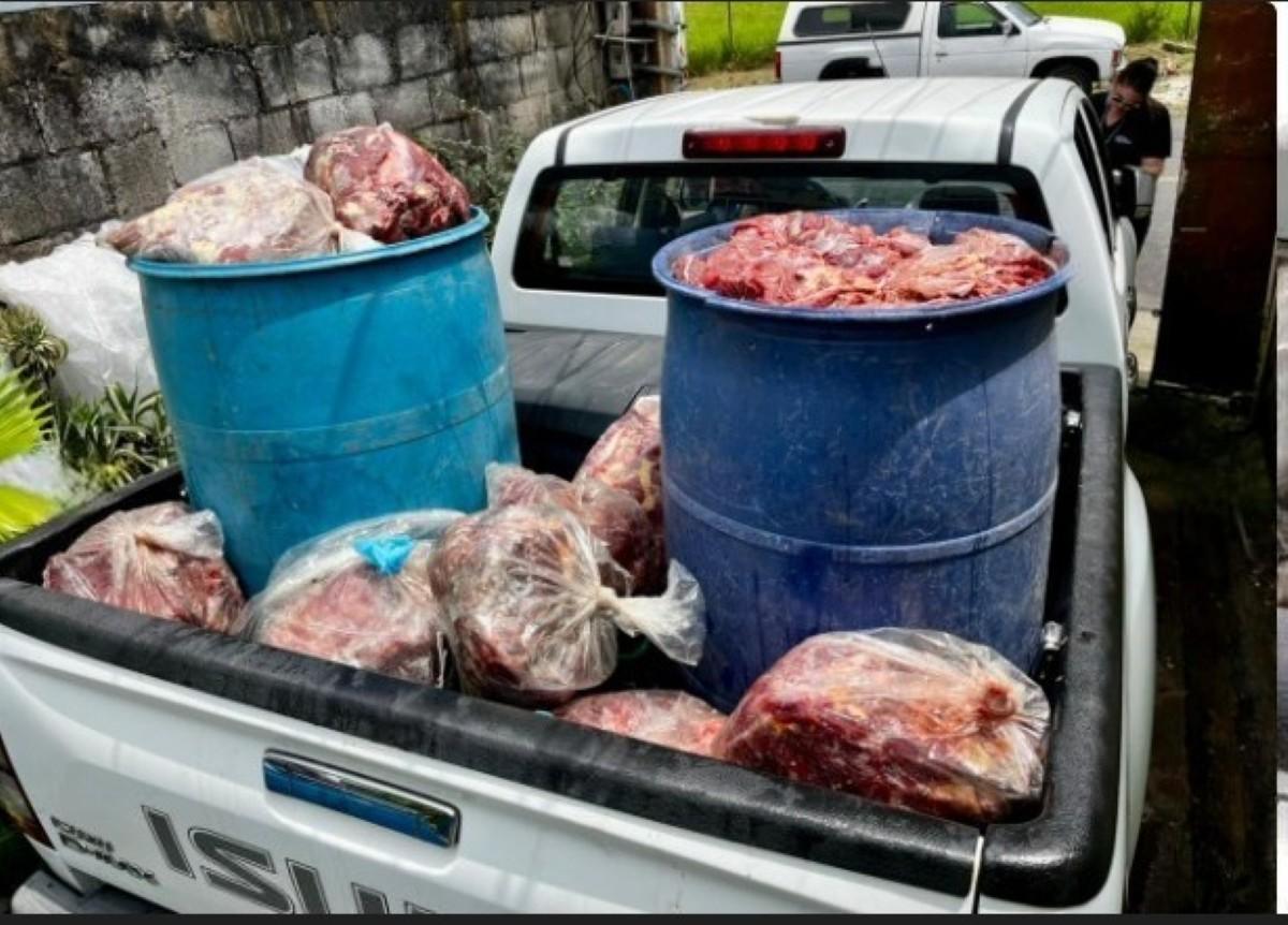 Decomiso de carne de caballo en carnicerías de Costa Rica