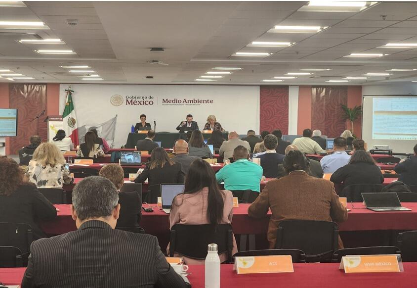 Nicaragua impulsa conservación del Jaguar en cumbre CITES