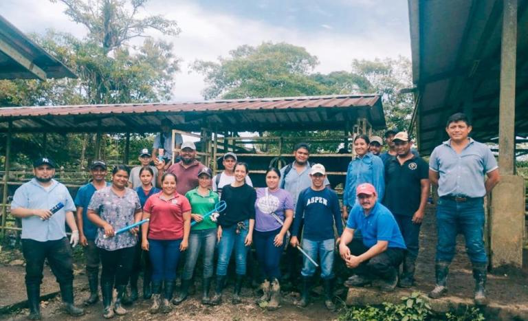 Curso de inseminación artificial para mejorar ganado