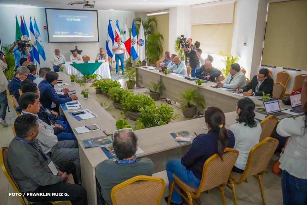 Encuentro Internacional de Sanidad Bovina en Nicaragua