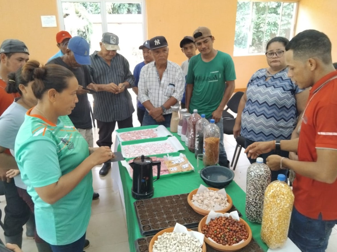 INTA impulsa semillas de frutales con técnicas artesanales