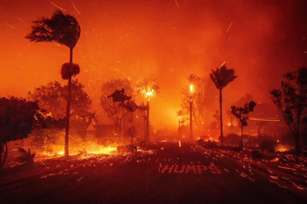 Autoridades federales arrestan en Florida a hombre de 29 años acusado de provocar el mortal incendio de Palisades en California