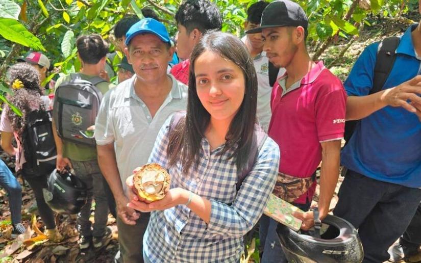Control de Monilia y Mazorca Negra en cacao criollo