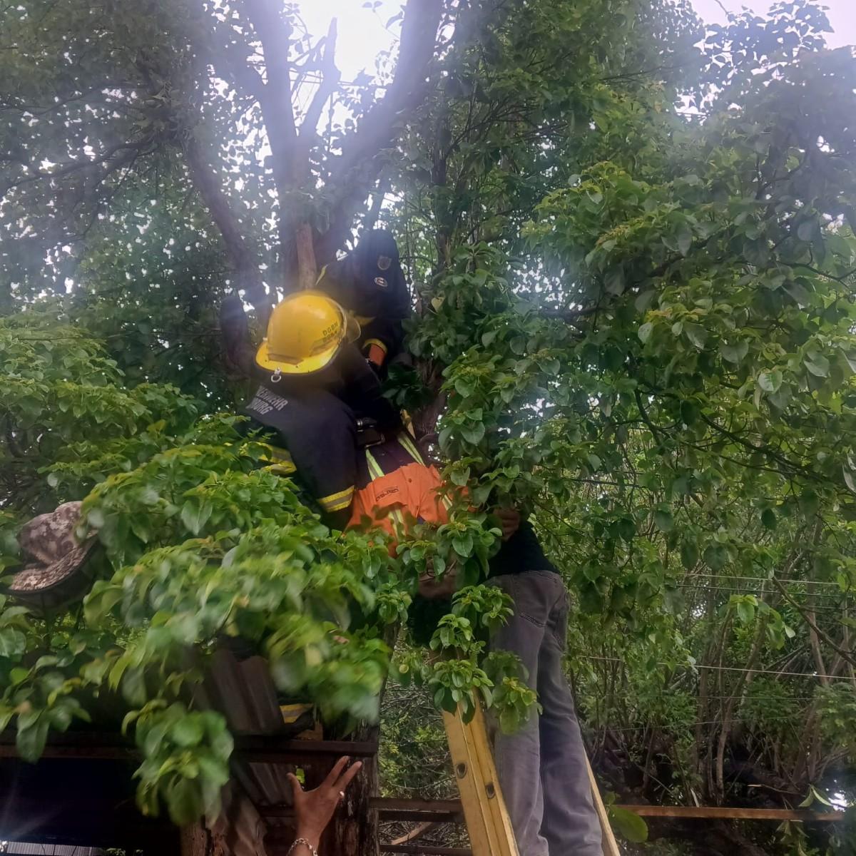 Joven muere electrocutado en El Viejo, Chinandega