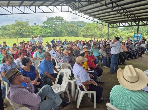 IPSA impulsa trazabilidad y sanidad bovina en Chontales