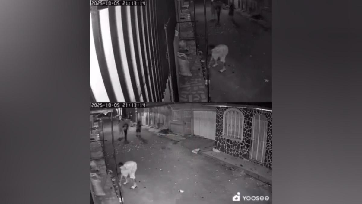 Capturan a cinco implicados en disturbios en Managua