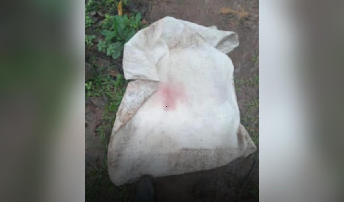 Milagro en Boaco: bebé recién nacido hallado con vida