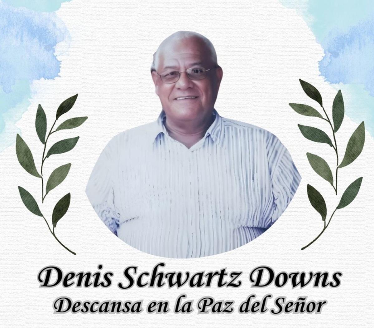 Denis Schwartz Downs