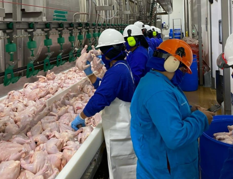 Reportan 358 millones de libras de carne de pollo al mercado nacional en lo que va del 2025