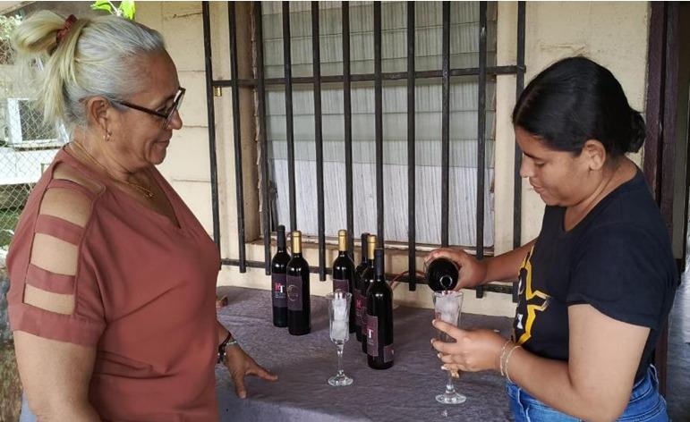 Asesorías para mejorar vinos artesanales en Nicaragua