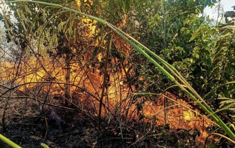 Bomberos sofocan incendio de maleza que devoró 32 manzanas en Ciudad Sandino