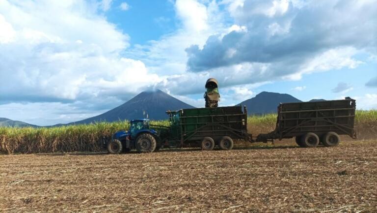 Zafra 2025/2026 de caña de azúcar inicia en Nicaragua con meta de 17 millones 100 mil quintales